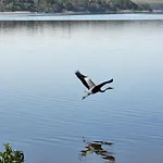 Ved Mosso Med Sokig Ferienhaus Skanderborg
