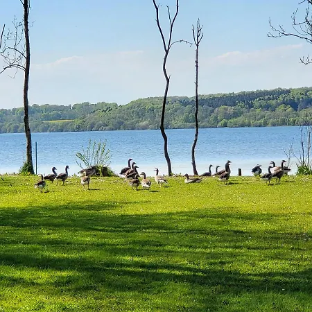 Ved Mosso Med Sokig * Skanderborg